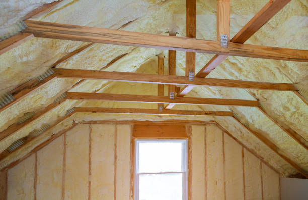 Best Specialty Insulation in Woodsi East, DE