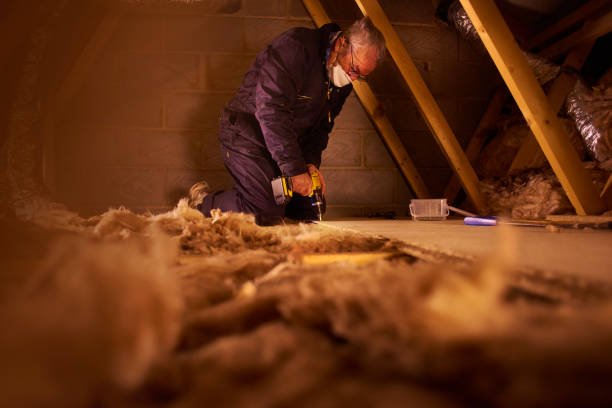 Best Insulation for Specific Applications in Woodsi East, DE